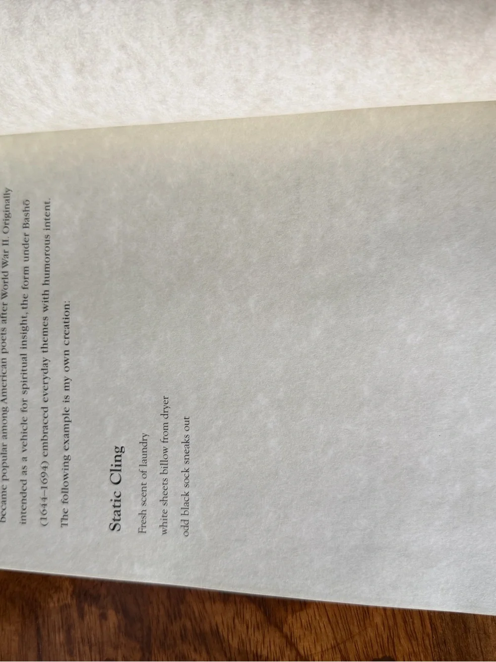 The Poet's Notebook - paperback journal- vintage